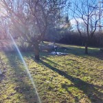 Eladó zártkert Mosonmagyaróváron