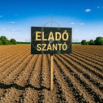 Eladó Szántó Tótkomlós