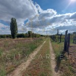 Belterületi beépítetlen terület eladó Bölcskén!