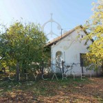 Eredeti parasztház gyümölcsössel eladó Előszálláson!